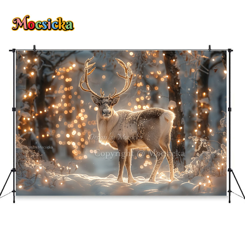 Winter Snow Scenes Photography – Photography Natural Lighting recenzja i cena